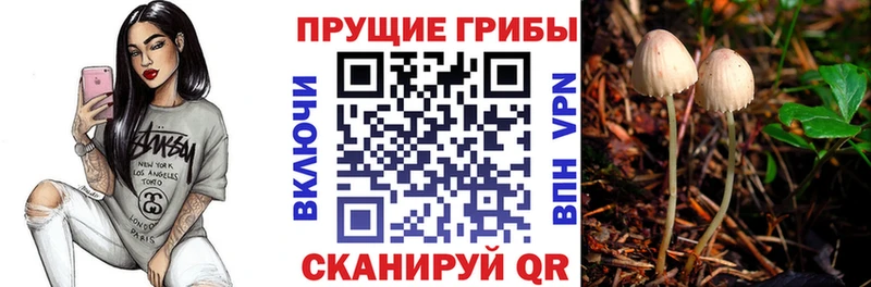 хочу наркоту  маркетплейс состав  Галлюциногенные грибы Psilocybine cubensis  Южно-Сухокумск 